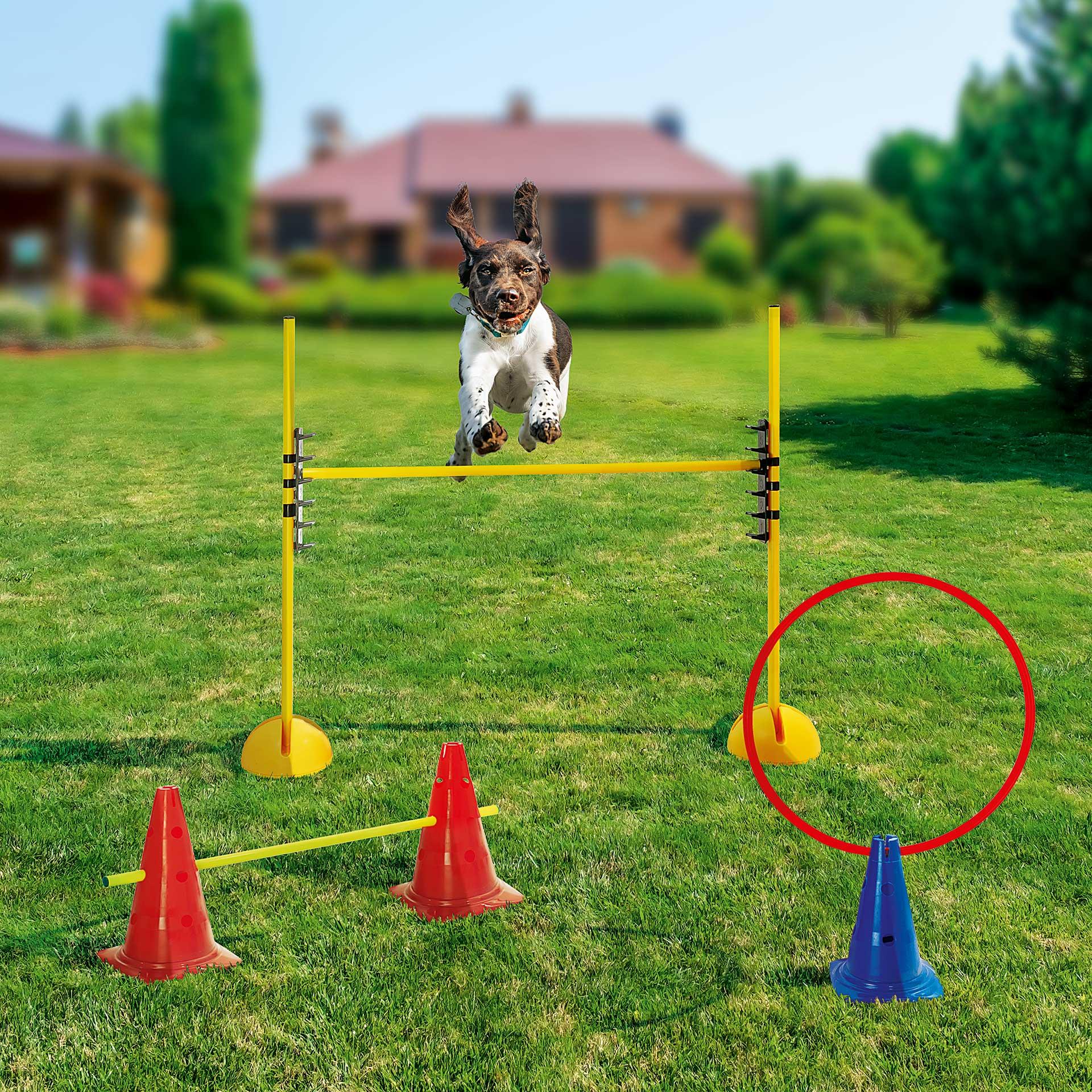 Accessoires chiens pour parcours d'agility, 14 pces