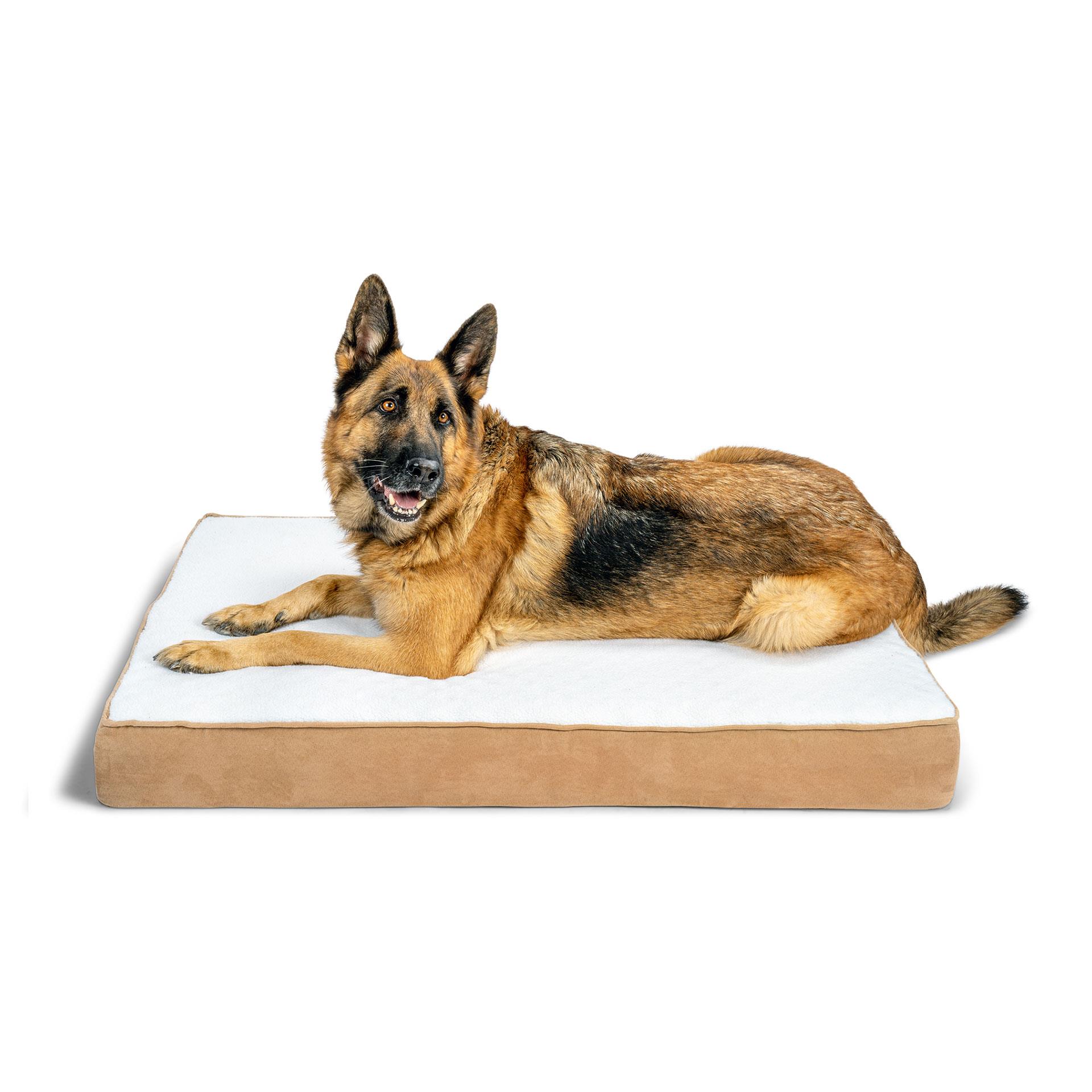 Memory Foam Hundebett Medium