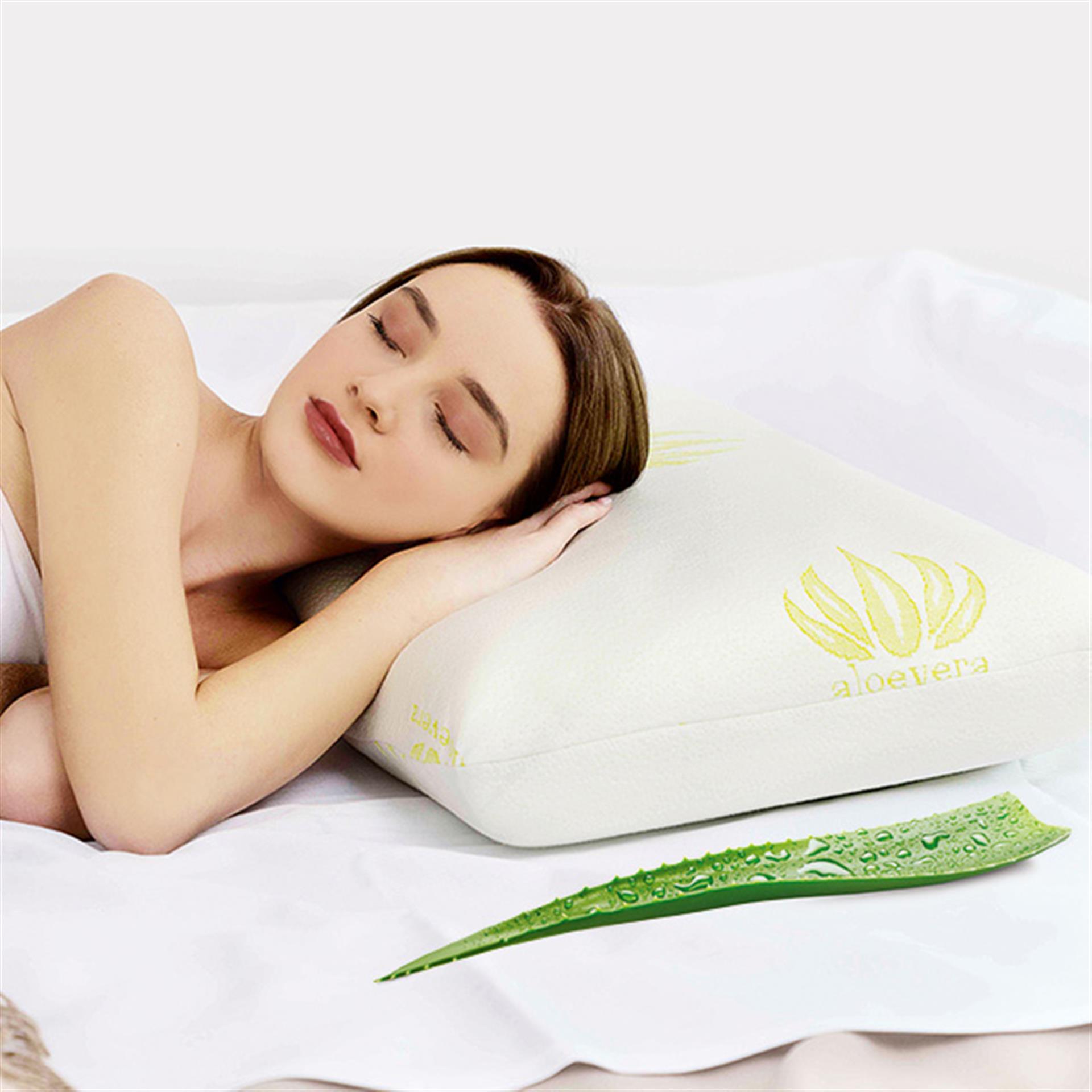 Memory Foam Kissen Aloe Vera 2in1