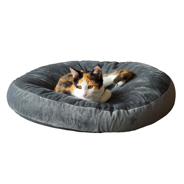 Coussin pour chat Wellness