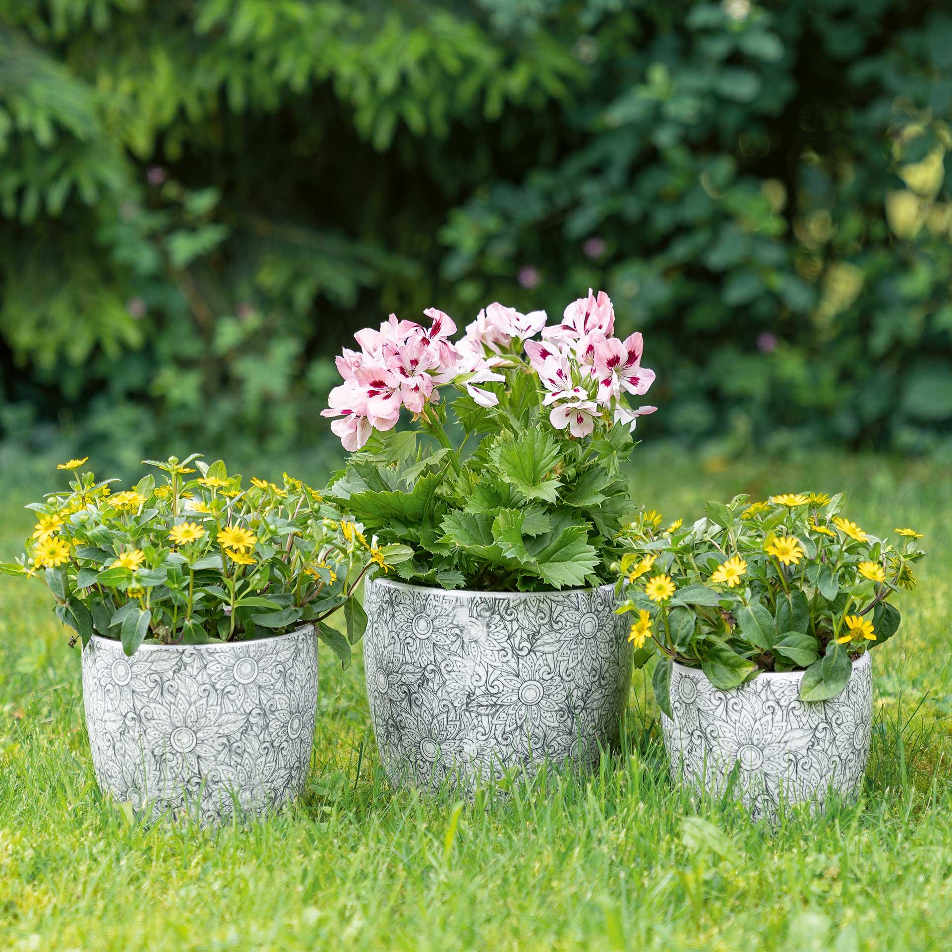 Pots de fleurs en céramique blanc, motif fleurs, 3 pces