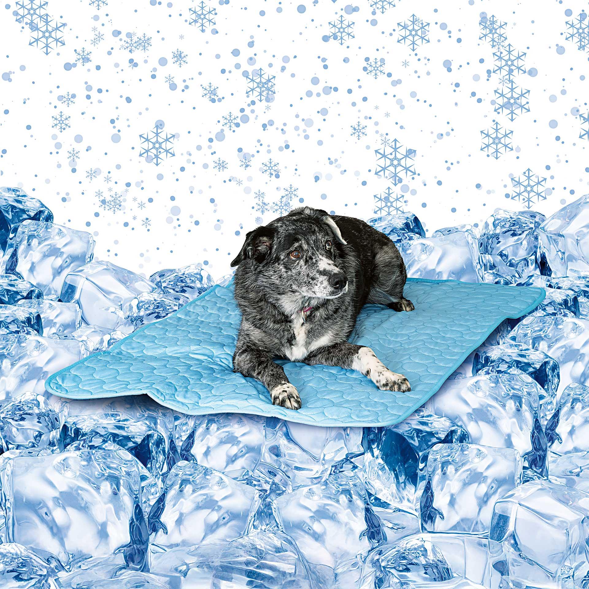 Couverture rafraîchissante bleu clair pour chiens 100 x 70 cm en soie de glace avec mesh, respirante et rafraîchissante, sac de lavage en filet inclus