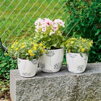 Pots de fleurs en céramique blanc motif pissenlits, 3 pces