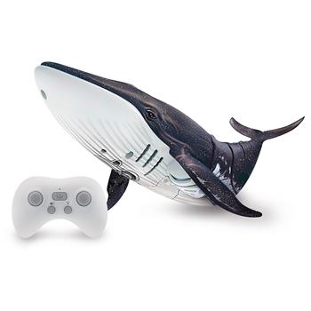 Baleine R/C