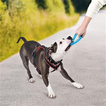 Hunde Zerrspielzeug 2 Stk. gelb und blau