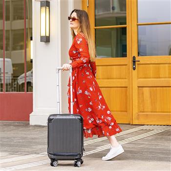 Valise à roulettes pour cabine Grey Air